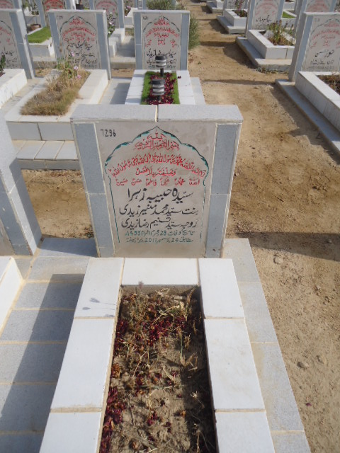 7296 – Syeda Habiba Zehra