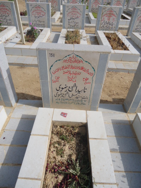 7311 – Naheed Ashja Rizvi