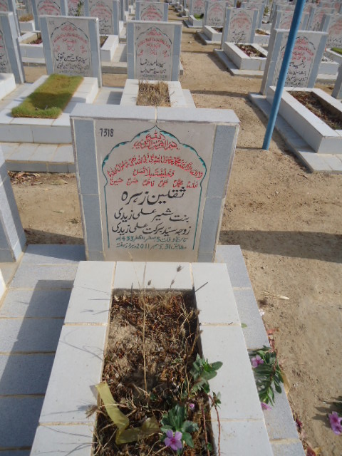 7318 – Saqlain Zehra