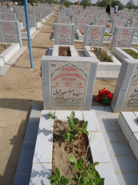 7319 – Syed Asim Masood Rizvi