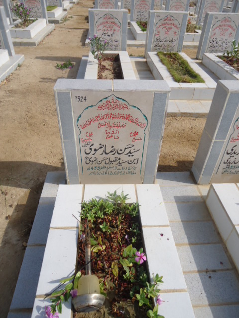 7324 – Syed Hasan Raza Rizvi