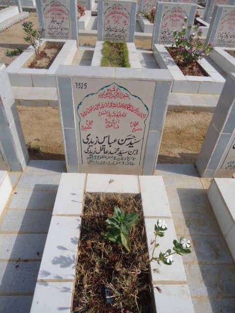 7325 – Syed Hasan Abbas Zaidi
