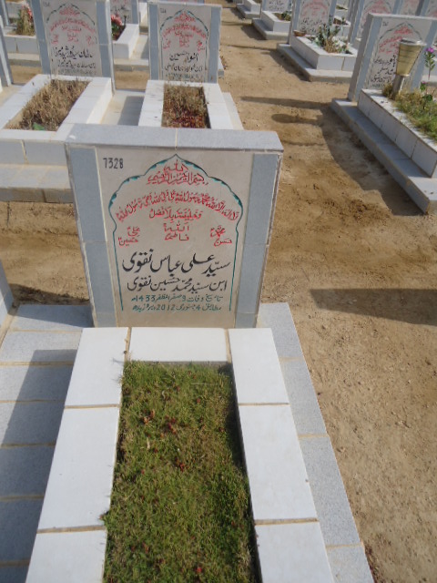 7328 – Syed Ali Abbas Naqvi