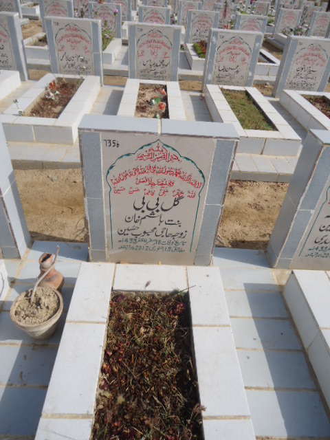 7356 – Gul Bibi