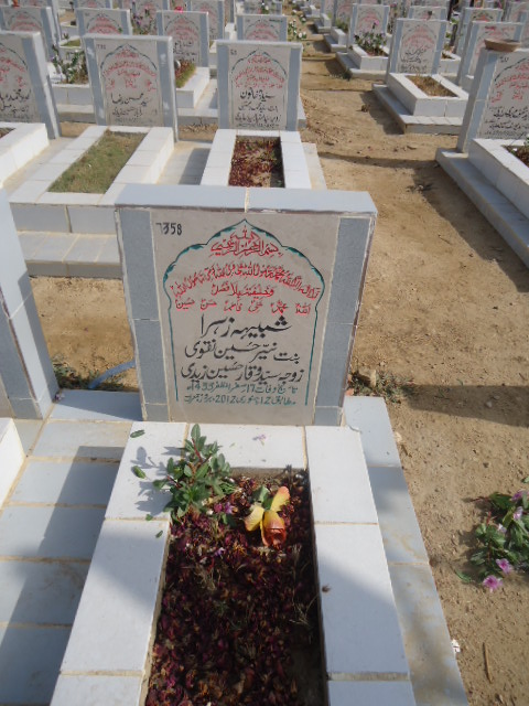 7358 – Shabhe Zehra