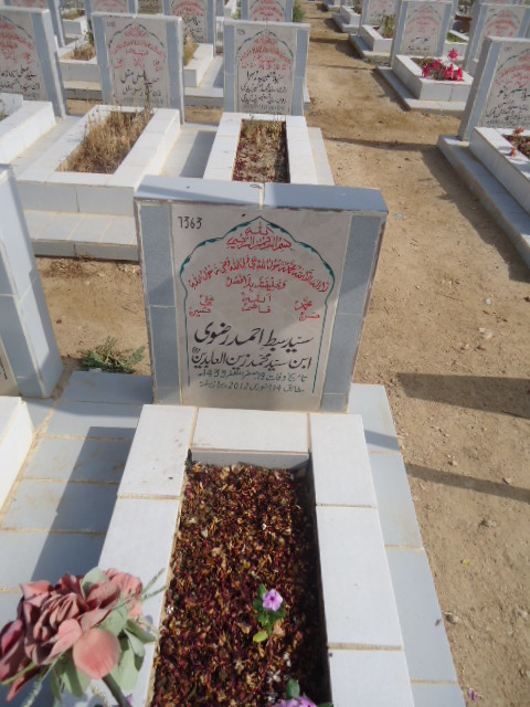 7363 – Syed Sibtay Ahmed Rizvi