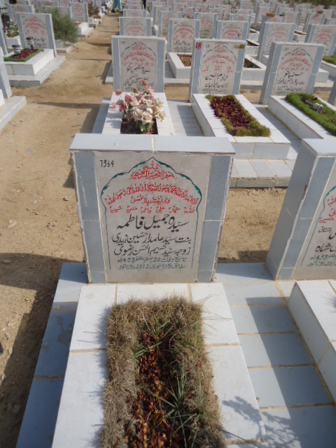 7364 – Syeda Jameel Fatima