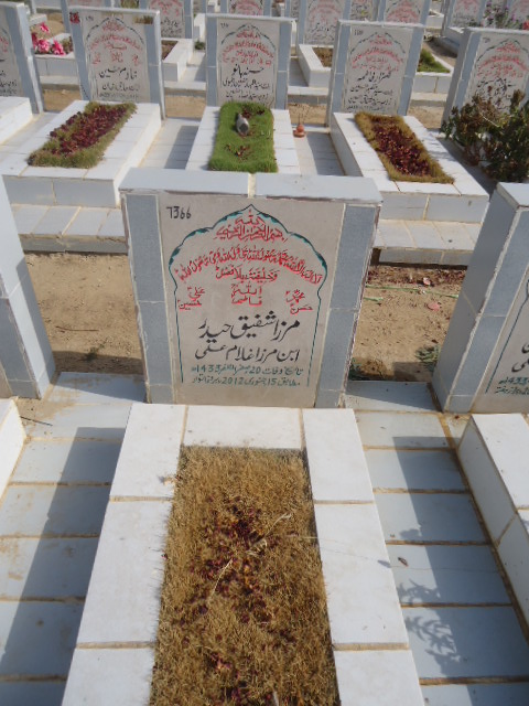 7366 – Mirza Shafiqe Haider