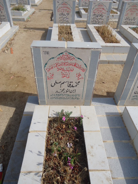 7381 – Muhammad Qasim Ali