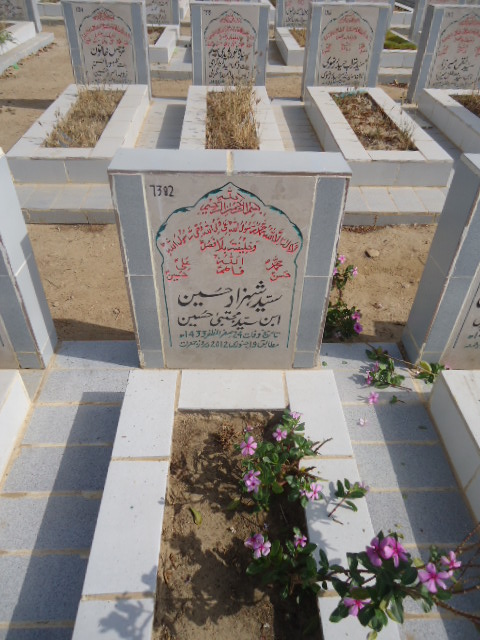 7382 – Syed Shahzad Hussain