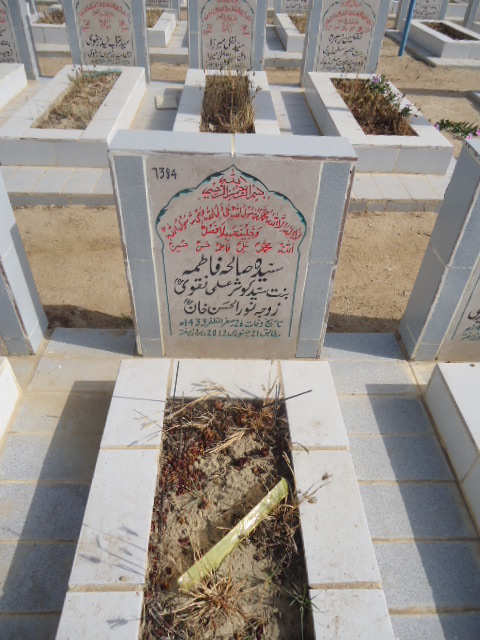 7384 – Syeda Salah Fatima