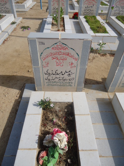 7386 – Syed Ali Mehdi Zaidi