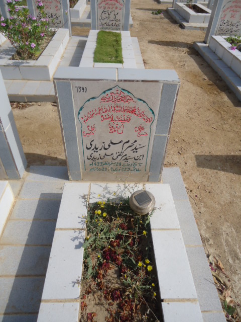 7390 – Syed Muharram Ali Zaidi