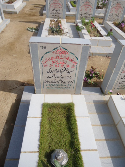 7396 – Syeda Farzana Mehdi