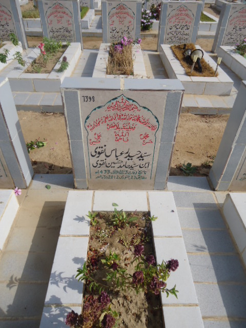 7398 – Syed Haider Abbas Naqvi