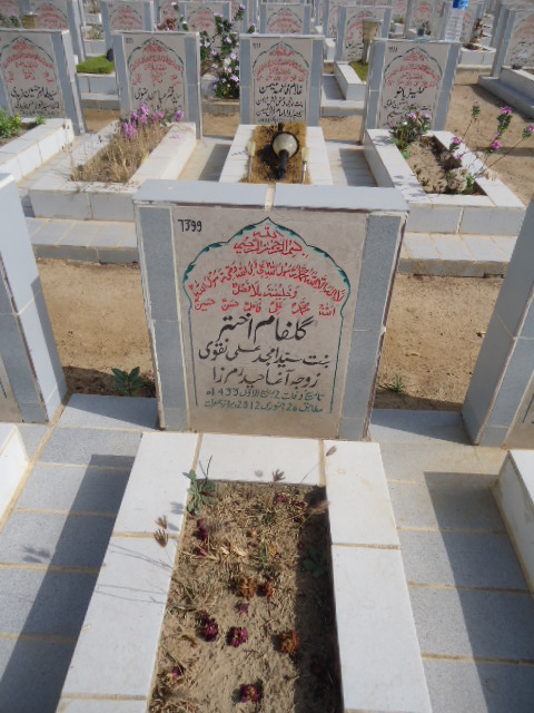 7399 – Gulfam Akhtar