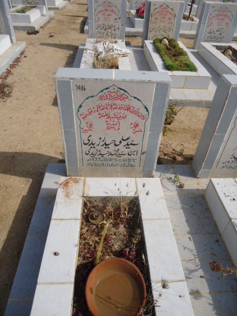 7406 – Syed Ali Haider Zaidi
