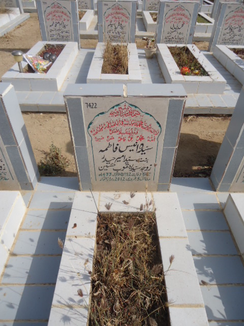 7422 – Syeda Anees Fatima