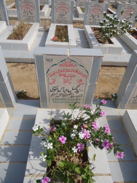 7423 – Syed Tajjamul Abbas Naqvi