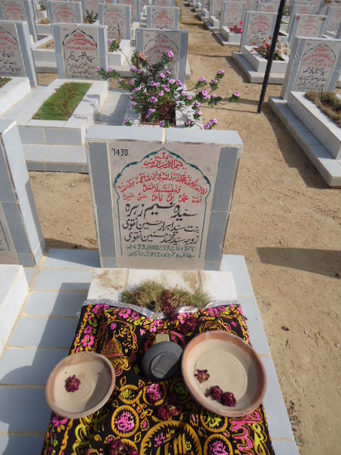 7430 – Syeda Naseem Zehra