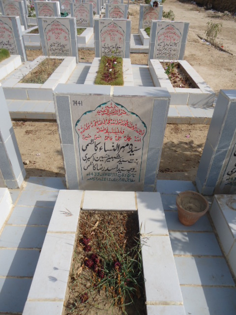 7441 – Syeda Mehar Un Nisa Kazmi