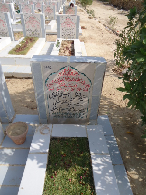 7442 – Syeda Suriya Begum Naqvi