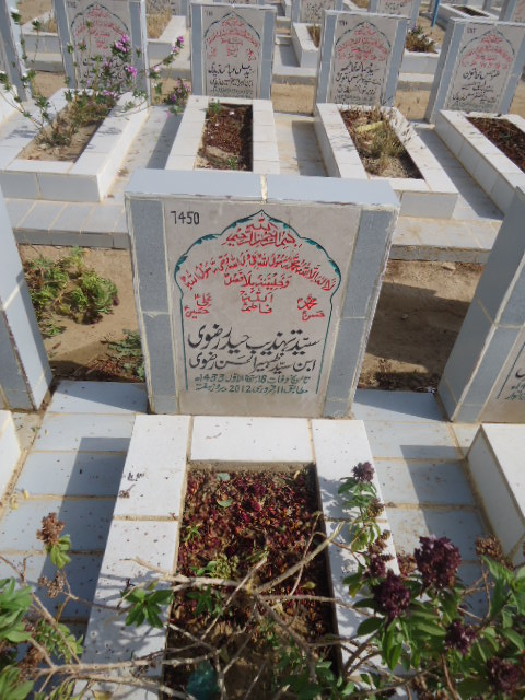 7450 – Syed Tehzeeb Haider Rizvi