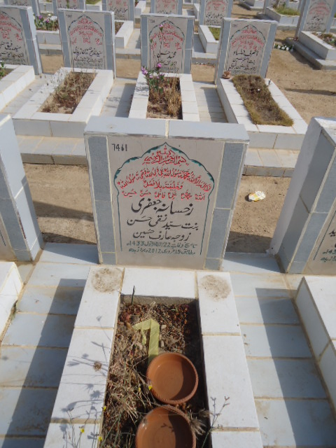 7461 – Rukhsana Jaffery