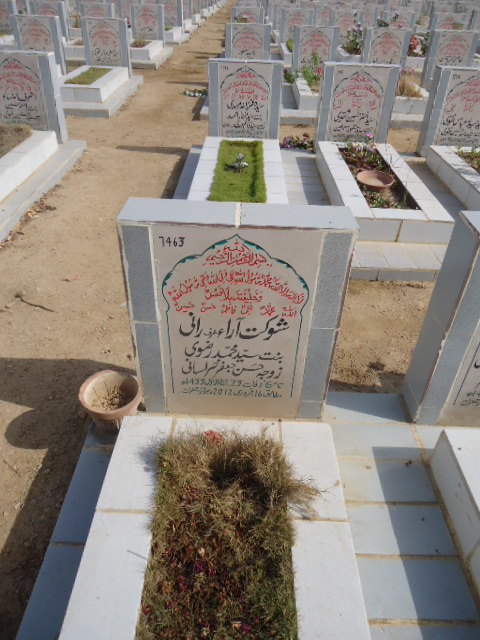 7463 – Shoukat Ara