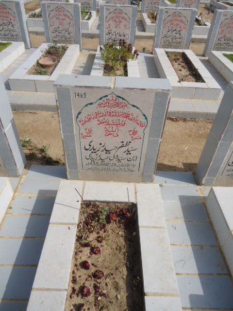 7465 – Syed Zafar Haider Zaidi