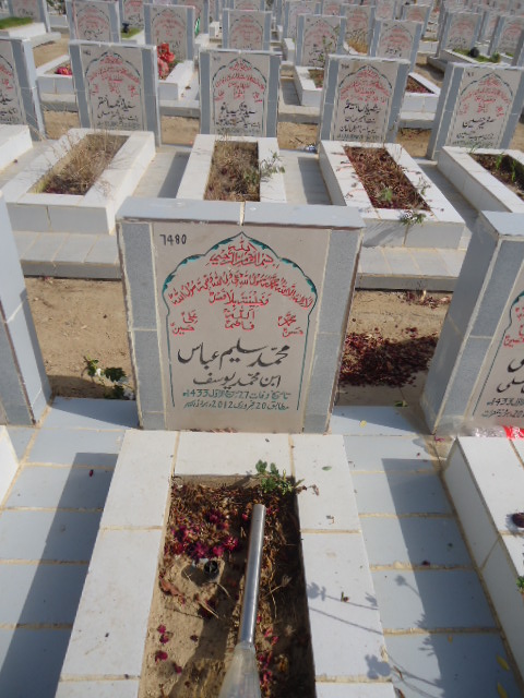 7480 – Muhammad Saleem Abbas