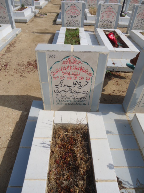 7493 – Fareeda Nawab