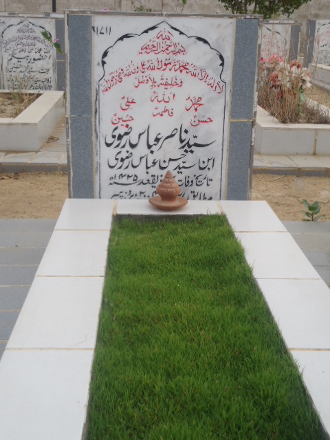 1711 – Syed Nasir Abbas Rizvi