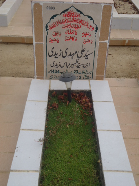 9003 – Syed Ali Mehdi Zaidi