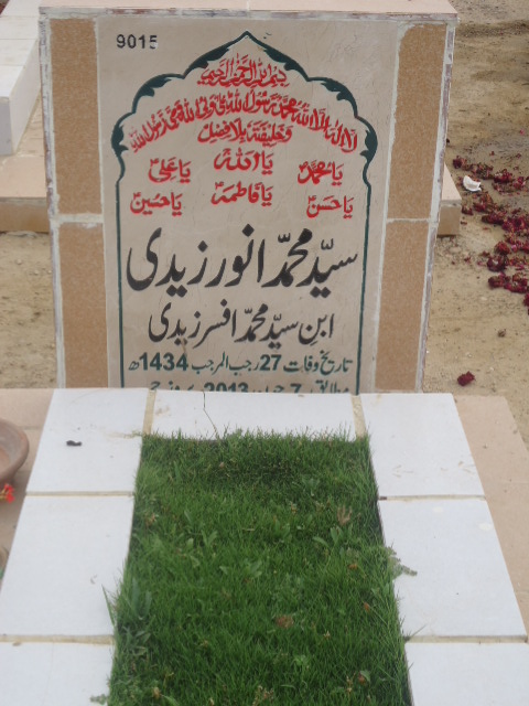 9015 – Syed Muhammad Anwar Zaidi
