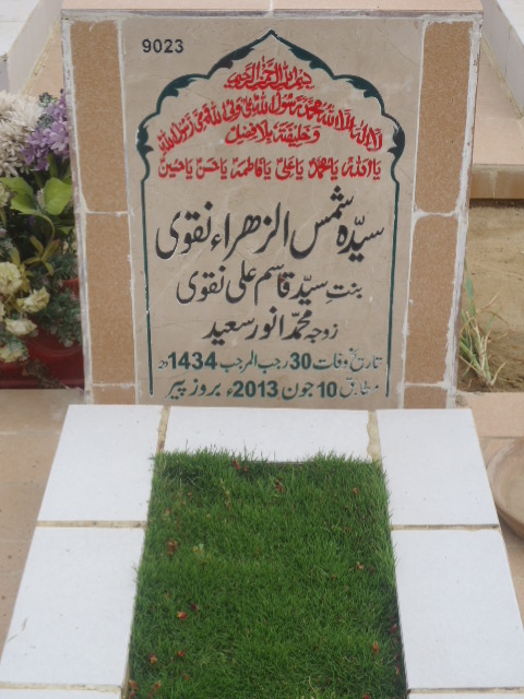 9023 – Syeda Shams Ul Zehra Naqvi