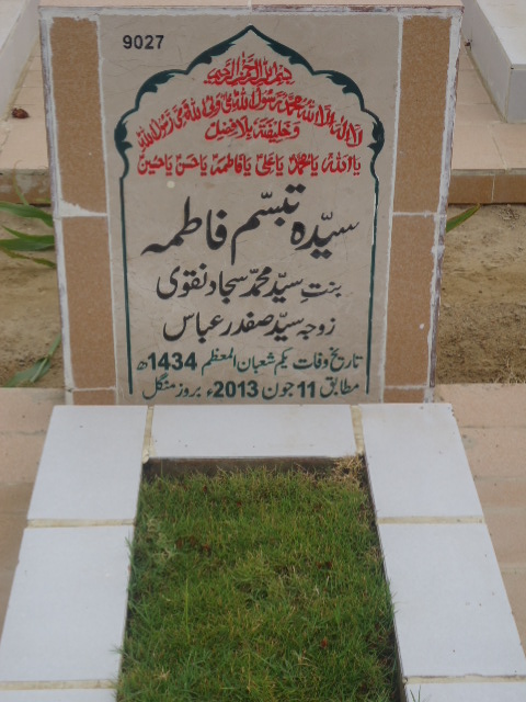 9027 – Syeda Tabasum Fatima