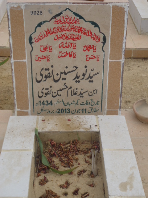 9028 – Syed Naveed Hasnain Naqvi