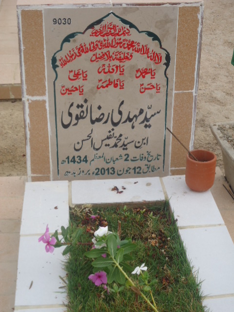 9030 – Syed Mehdi Raza Naqvi