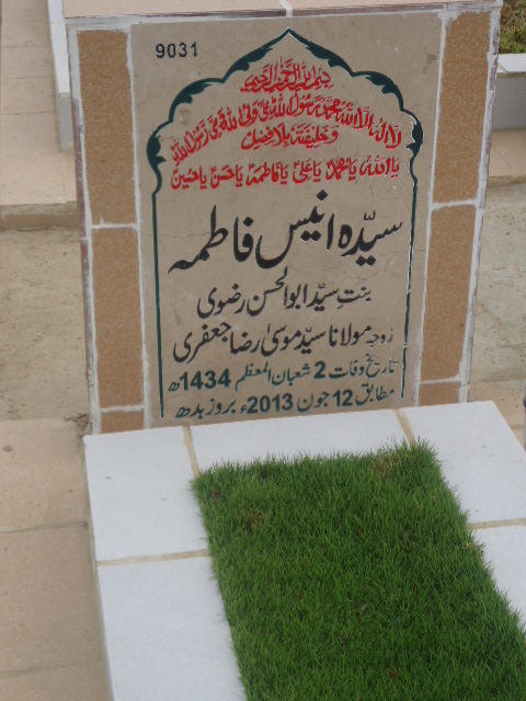 9031 – Syeda Anees Fatima