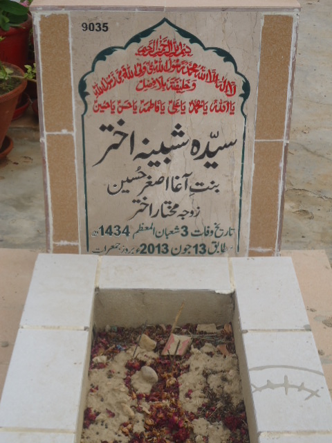 9035 – Syeda Shabhina Akhtar