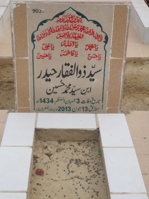 9037 – Syed Zulfiqar Haider