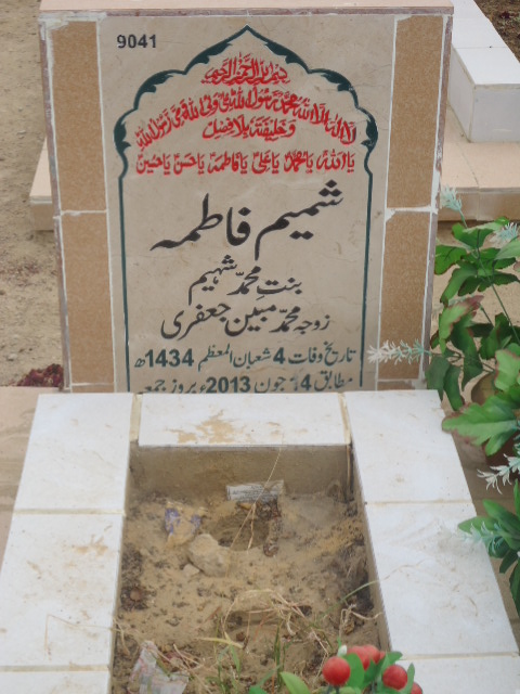 9041 – Shamim Fatima
