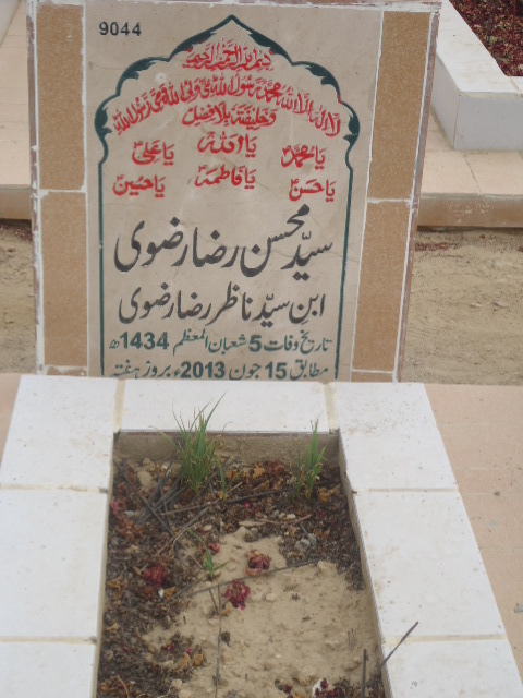 9044 – Syed Mohsin Raza Rizvi