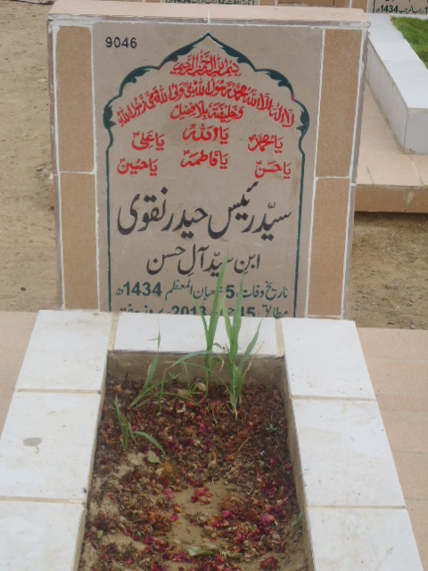 9046 – Syed Rais Haider Naqvi