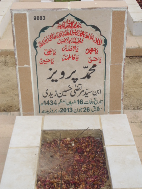9083 – Muhammad Parveez