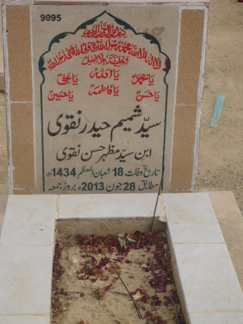 9095 – Syed Shamim Haider Naqvi