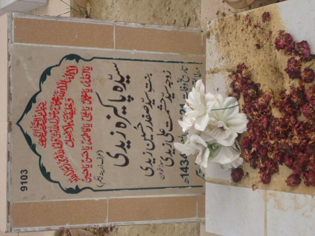 9102 – Syed Zafar Ahmed Naqvi
