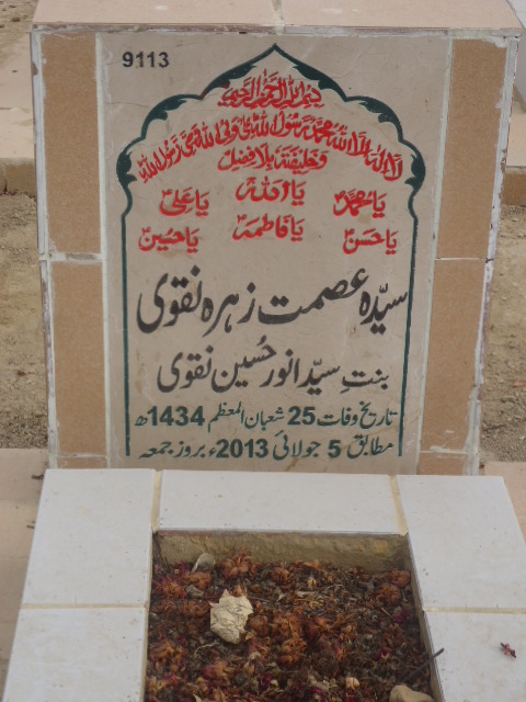 9113 – Syeda Asmat Zehra Naqvi