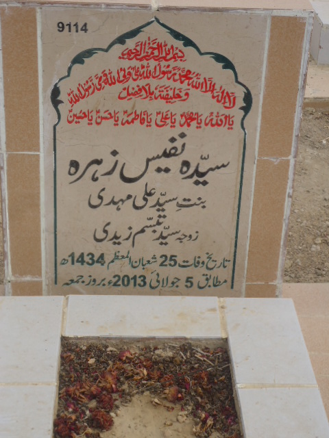 9114 – Syeda Nafees Zehra
